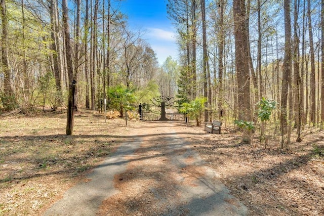 481 Patillo Rd, Stockbridge, GA 30281 - view of street with a wooded view