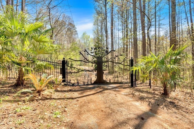 481 Patillo Rd, Stockbridge, GA 30281 - gate featuring fence