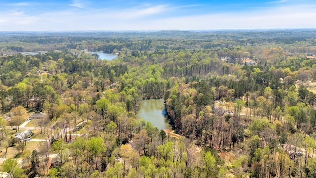 481 Patillo Rd, Stockbridge, GA 30281 - aerial view of property's location with a forest and a nearby body of water