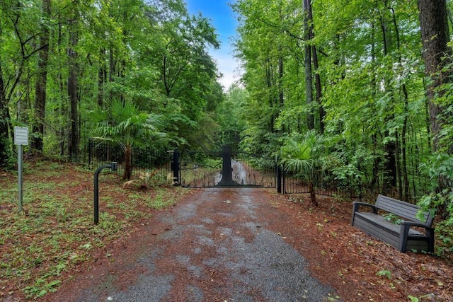 481 Patillo Rd, Stockbridge, GA 30281 - view of street featuring a gate and a view of trees