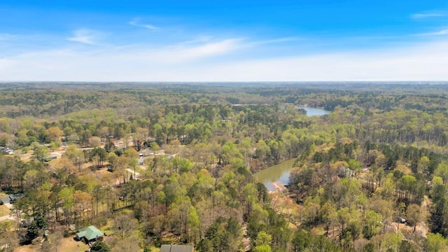 481 Patillo Rd, Stockbridge, GA 30281 - aerial overview of property's location with a forest