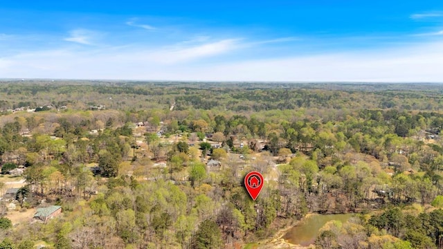 481 Patillo Rd, Stockbridge, GA 30281 - view of property location featuring a forest
