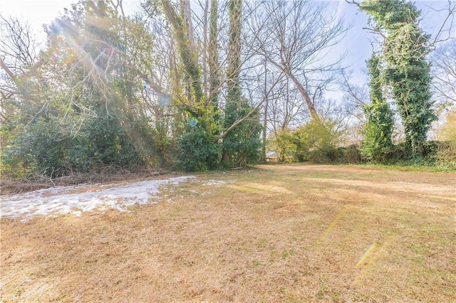 2473 Tyler Way, Decatur, GA 30032 - view of yard