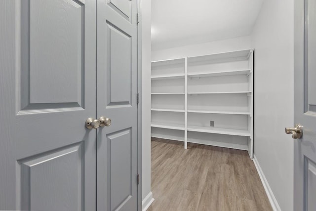 spacious closet with wood finished floors