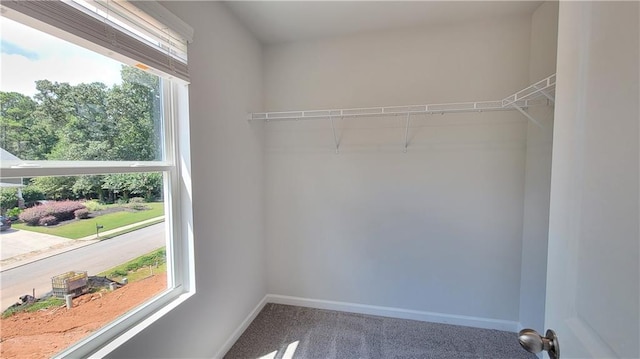 5110 Black Bear Trl, Douglasville, GA 30135 - spacious closet featuring carpet