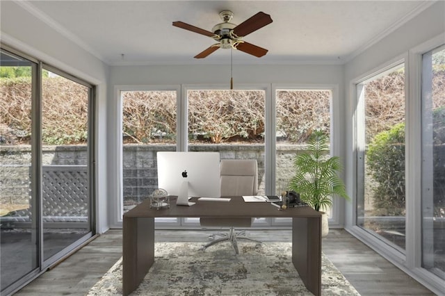 sunroom with ceiling fan