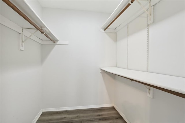 spacious closet featuring dark hardwood / wood-style floors