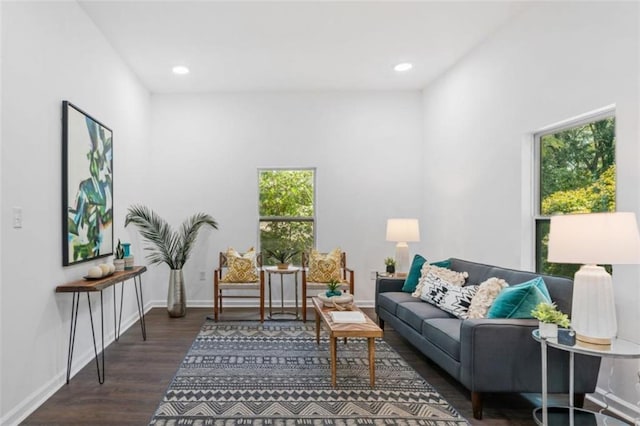 living area featuring recessed lighting, wood finished floors, and baseboards