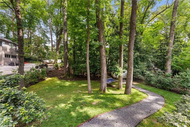 999 Seaboard Ave NW, Atlanta, GA 30318 - view of green lawn