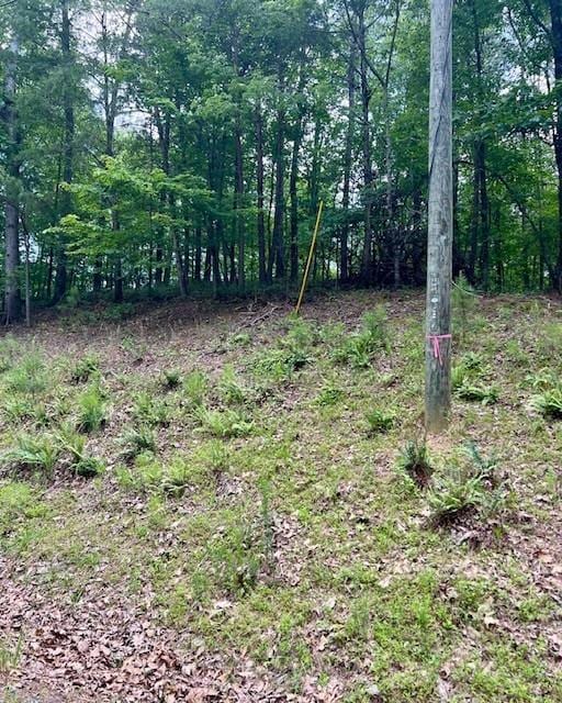 133 Adair Dr NE, Ranger, GA 30734