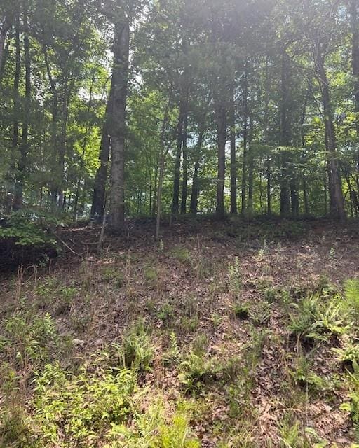133 Adair Dr NE, Ranger, GA 30734