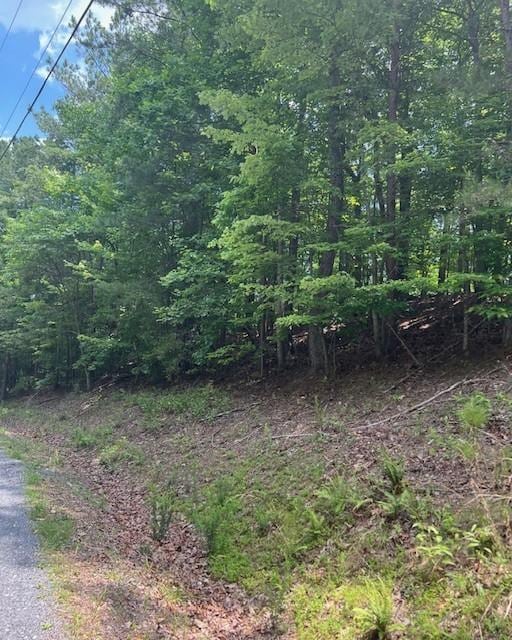 133 Adair Dr NE, Ranger, GA 30734