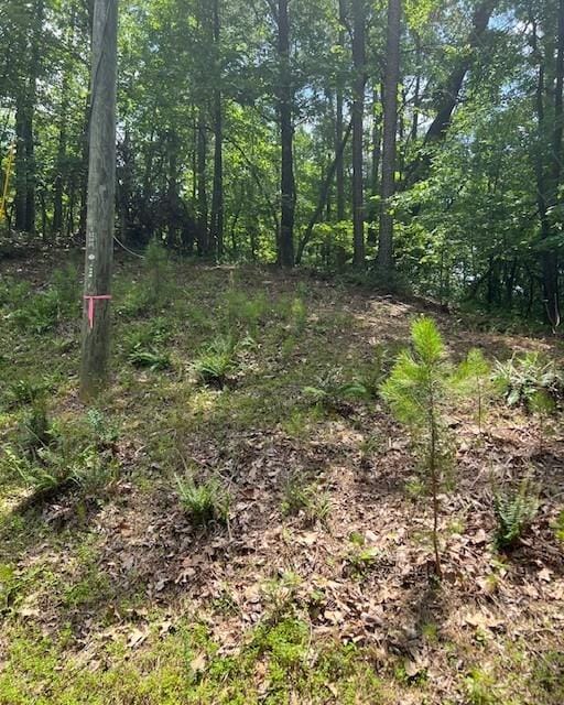 133 Adair Dr NE, Ranger, GA 30734