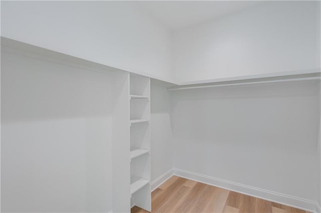 spacious closet with light wood-type flooring