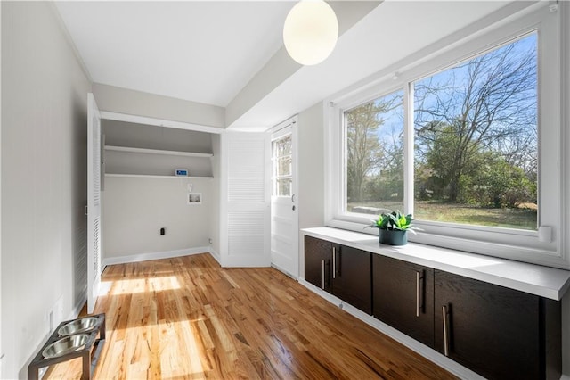 laundry area featuring electric dryer hookup, hookup for a washing machine, and light hardwood / wood-style flooring