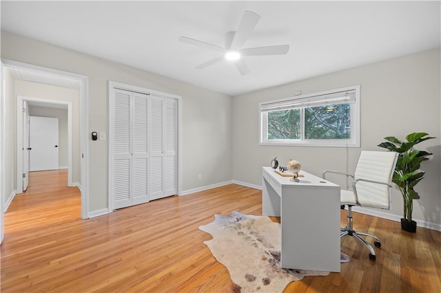 office featuring ceiling fan and light hardwood / wood-style flooring