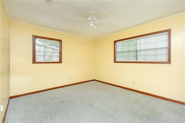 carpeted spare room with healthy amount of natural light, crown molding, ceiling fan, baseboards, and a textured ceiling