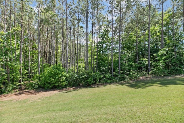 view of yard featuring a wooded view