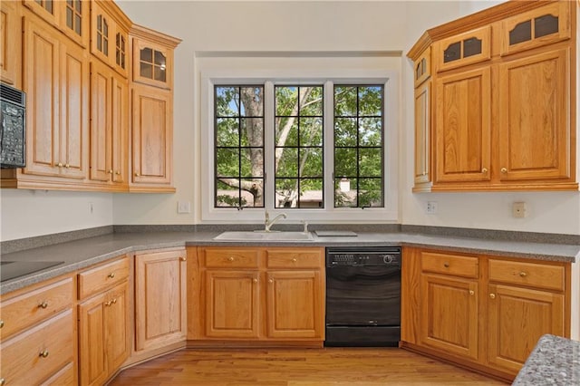 267 Starcross Ln, Jasper, GA 30143 - kitchen with black appliances, a sink, light wood-style flooring, and glass insert cabinets