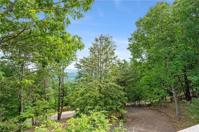 267 Starcross Ln, Jasper, GA 30143 - view of home's community
