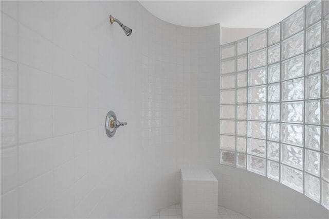 267 Starcross Ln, Jasper, GA 30143 - bathroom with tiled shower and plenty of natural light