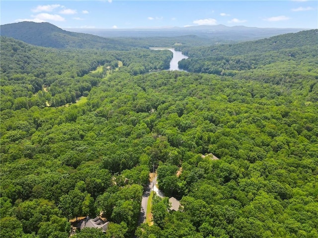 267 Starcross Ln, Jasper, GA 30143 - bird's eye view of a heavily wooded area and a mountain backdrop