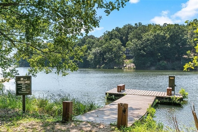 267 Starcross Ln, Jasper, GA 30143 - dock with a water view