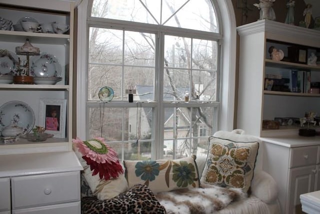 sitting room with built in features