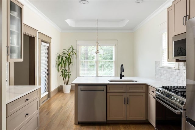 2876 White Oak Dr, Decatur, GA 30032 - kitchen featuring appliances with stainless steel finishes, a peninsula, a tray ceiling, a sink, and light wood-style flooring