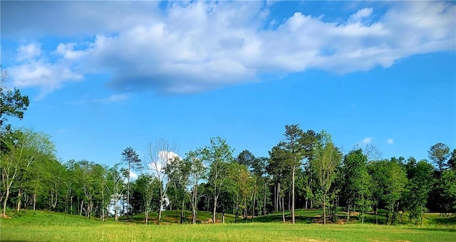 80 Mundy Rd, Rydal, GA 30171