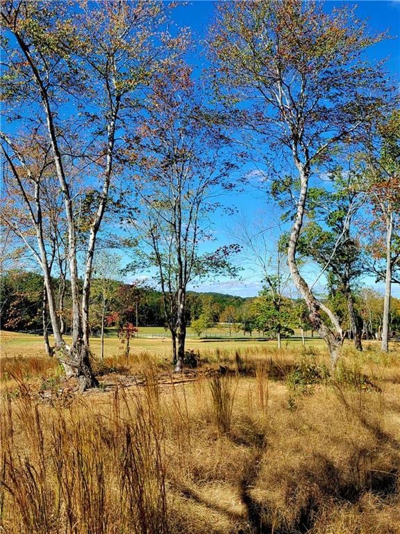 80 Mundy Rd, Rydal, GA 30171