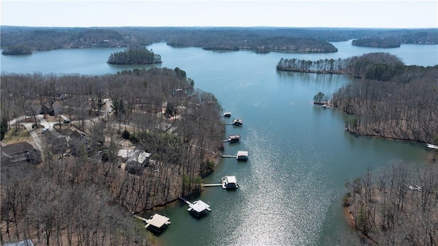 aerial view with a water view and a view of trees