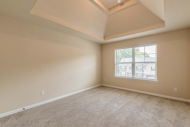 171 Osier Dr, Mcdonough, GA 30252 - spare room with a raised ceiling, carpet flooring, and baseboards