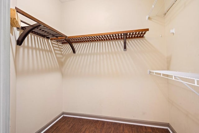 walk in closet featuring wood-type flooring