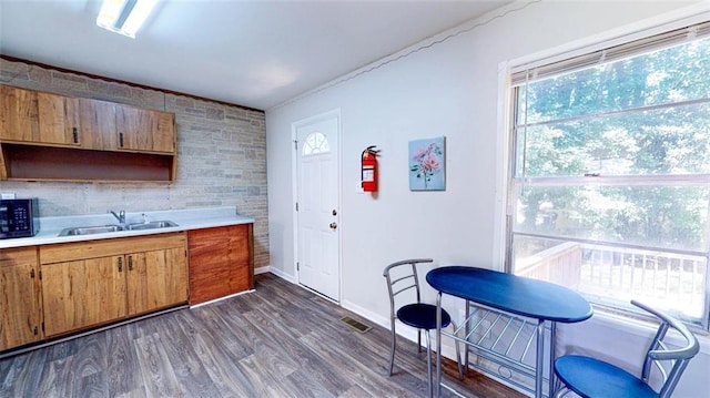 kitchen featuring dark wood-type flooring and sink