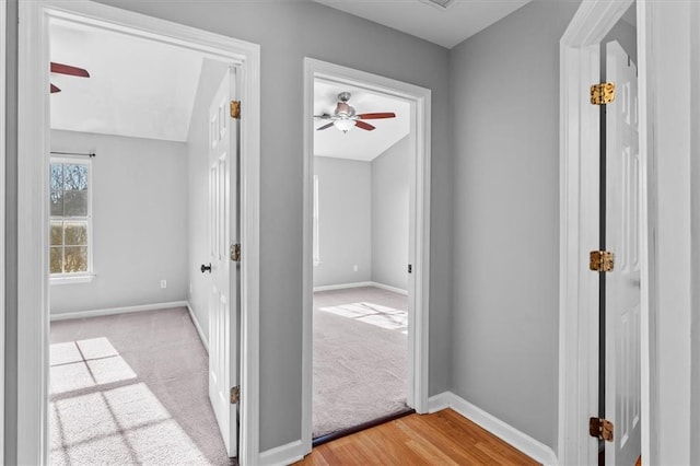 hall with carpet, baseboards, and wood finished floors