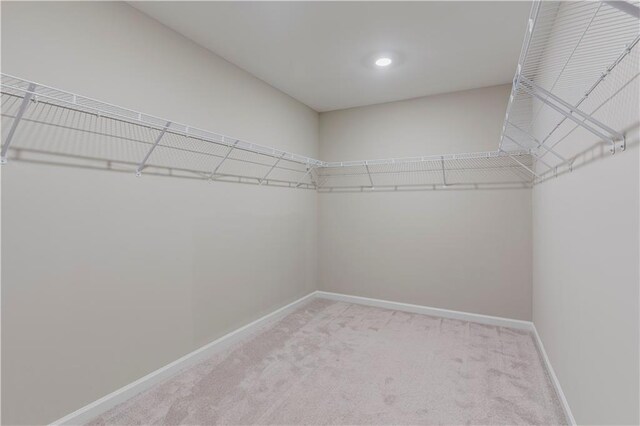 walk in closet featuring light carpet