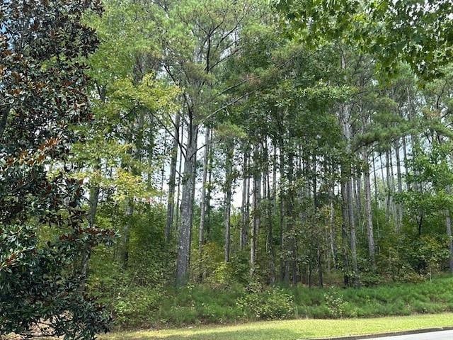 Listing photo 3 for 0 Aspen Way, Adairsville GA 30103