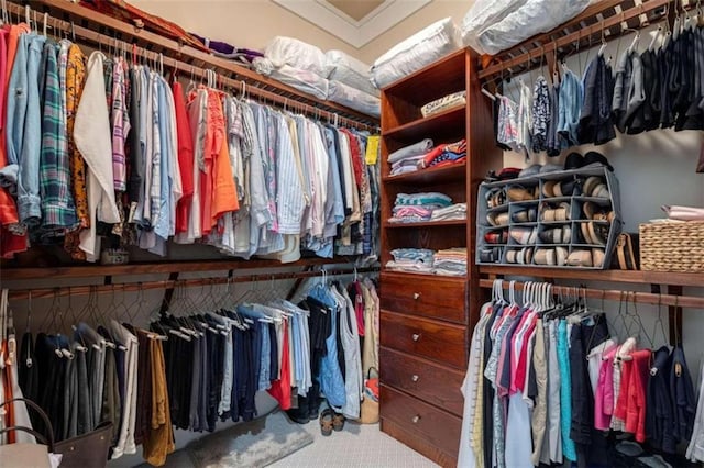 spacious closet with carpet flooring