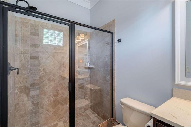 full bath with toilet, vanity, and a stall shower