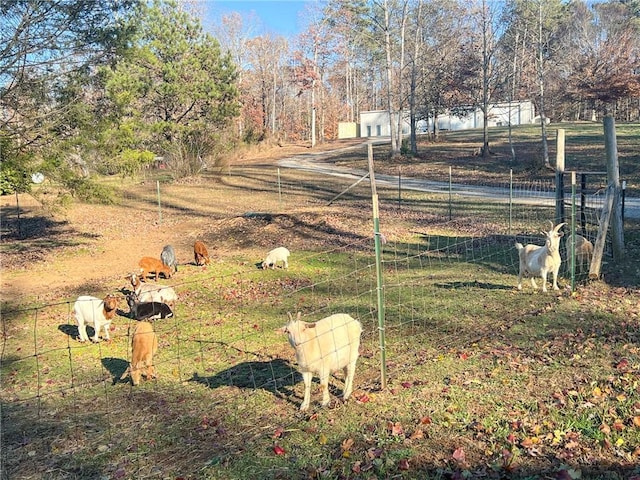 view of yard featuring a rural view