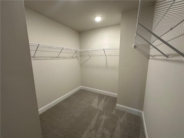 walk in closet featuring carpet
