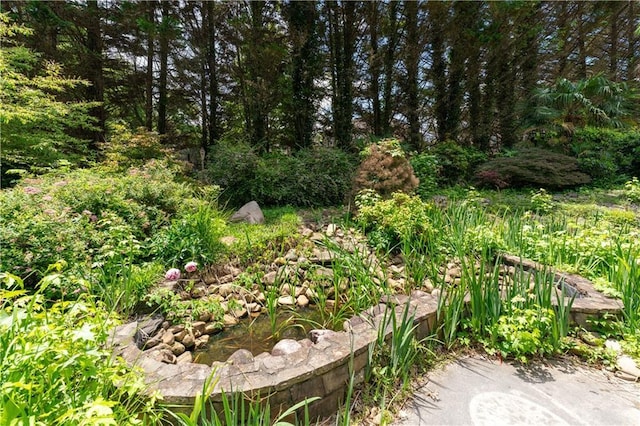 11569 Finley St, Suwanee, GA 30024 - view of nature