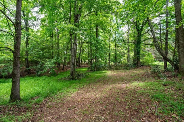 11569 Finley St, Suwanee, GA 30024 - view of yard featuring a view of trees
