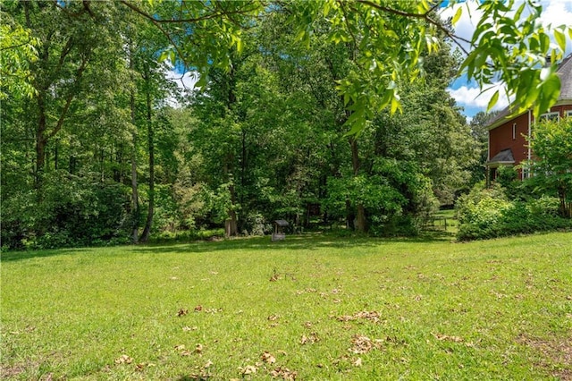 11569 Finley St, Suwanee, GA 30024 - view of grassy yard