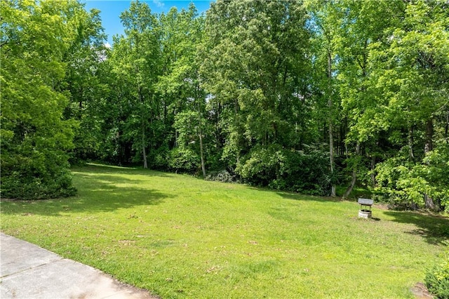 11569 Finley St, Suwanee, GA 30024 - view of green lawn