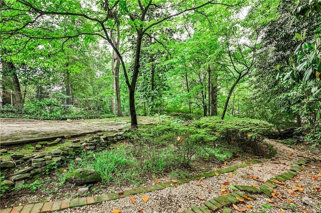 50 Rumson Way NE, Atlanta, GA 30305 - view of local wilderness featuring a view of trees