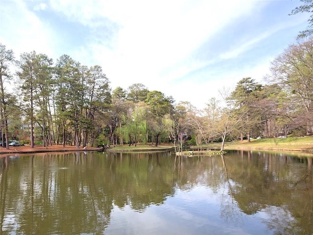 50 Rumson Way NE, Atlanta, GA 30305 - view of water feature
