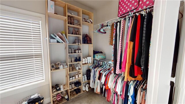 spacious closet featuring carpet flooring