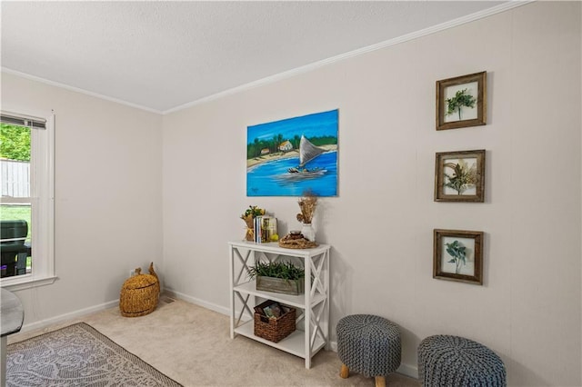 2621 Pass Cir, Gainesville, GA 30506 - sitting room with carpet, ornamental molding, a textured ceiling, and baseboards